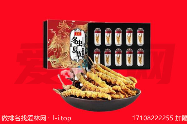 绍兴市柯桥回收虫草.jpg